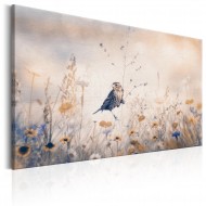 Tableau   August Melody