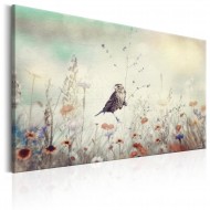 Tableau  Wild Meadow