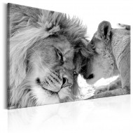Tableau  Lions Love