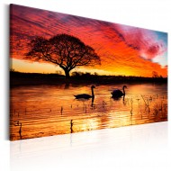 Tableau  Swan Lake