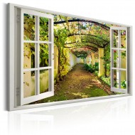 Tableau  Window View on Pergola