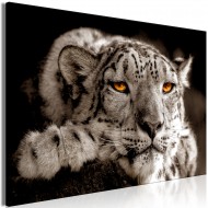 Tableau  Magic Eyes (1 Part) Wide