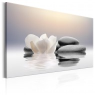 Tableau  Garden of Calm