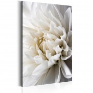 Tableau  White Dahlia