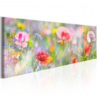 Tableau  Rainbow of Morning Poppies