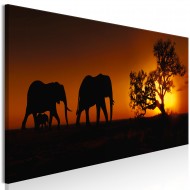 Tableau  Elephant Family (Orange)