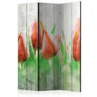 Paravent 3 volets  Red tulips on wood [Room Dividers]