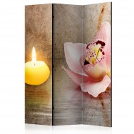 Paravent 3 volets  Romantic evening [Room Dividers]