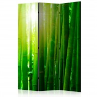 Paravent 3 volets  Sun and bamboo [Room Dividers]