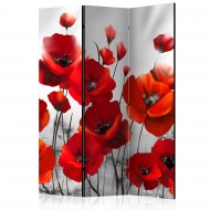 Paravent 3 volets  Poppies in the Moonlight [Room Dividers]