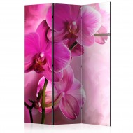 Paravent 3 volets  Pink Orchid [Room Dividers]
