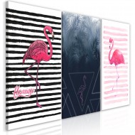 Tableau  Flamingos (Collection)
