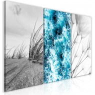 Tableau  Environment (Collection)