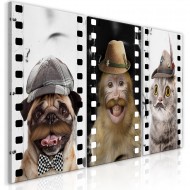 Tableau  Funny Pets (Collection)