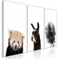 Tableau  Friendly Animals (Collection)