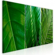 Tableau  Leaves (Collection)