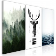 Tableau  Chilly Nature (Collection)