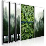 Tableau  Forest (Collection)