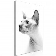 Tableau  Hairless Cat (1 Part) Vertical