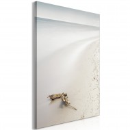 Tableau  Coast (1 Part) Vertical