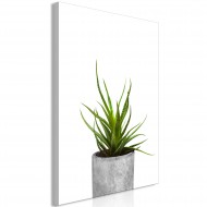 Tableau  Haworthia (1 Part) Vertical