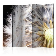 Paravent 5 volets  Fluffy dandelion II [Room Dividers]