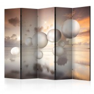 Paravent 5 volets  Morning Jewels II [Room Dividers]