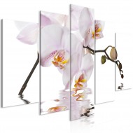 Tableau  Delightful Orchid (5 Parts) Wide
