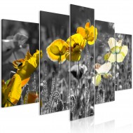 Tableau  Yellow Poppies (5 Parts) Wide