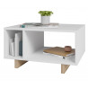 Table Basse Rectangle Blanche 2 Niches