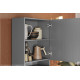 Colonne de Cuisine Micro-Onde Grise 2 Portes 5 Niches L 60 H 193 P 53.5 cm