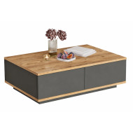 Table Basse 2 Abattants 2 Niches Chêne et Gris L 90 H 28.6 P 60 cm