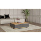 Table Basse 2 Abattants 2 Niches Chêne et Gris L 90 H 28.6 P 60 cm