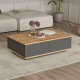 Table Basse 2 Abattants 2 Niches Chêne et Gris L 90 H 28.6 P 60 cm
