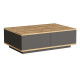 Table Basse 2 Abattants 2 Niches Chêne et Gris L 90 H 28.6 P 60 cm