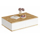Table Basse 2 Abattants 2 Niches Chêne et Blanc L 90 H 28.6 P 60 cm