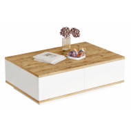 Table Basse 2 Abattants 2 Niches Chêne et Blanc L 90 H 28.6 P 60 cm