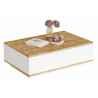 Table Basse 2 Abattants 2 Niches Chêne et Blanc L 90 H 28.6 P 60 cm