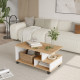 Table Basse Mobile 3 Niches Imitation Chêne et Gris L 90 H 42.5 P 51 cm
