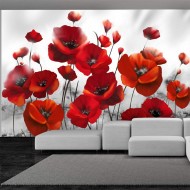 Papier peint  Coquelicots dans au clair de lune