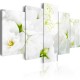 Tableau  Natural white