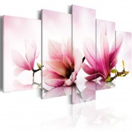 Tableau  Magniolias fleurs roses