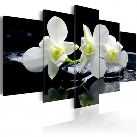 Tableau - Melancholic orchids