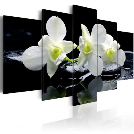 Tableau  Melancholic orchids