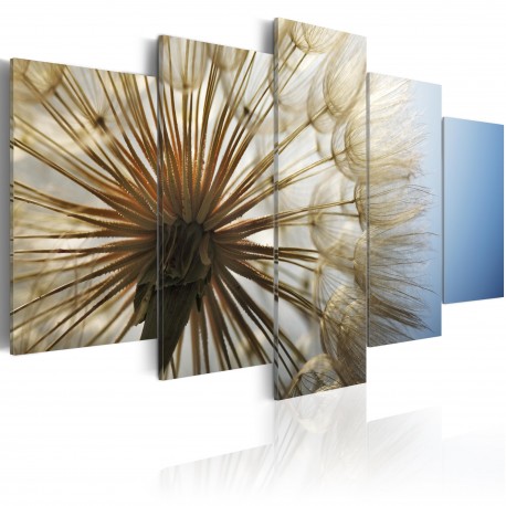 Tableau  Admiration de la délicatesse