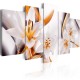 Tableau  Lilium regale