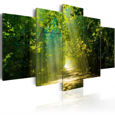 Tableau  Sunshine Road