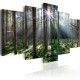 Tableau  Fairytale Forest