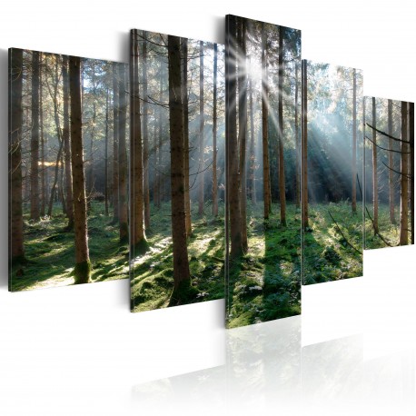 Tableau  Fairytale Forest