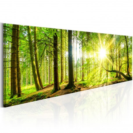 Tableau  Majestic Trees